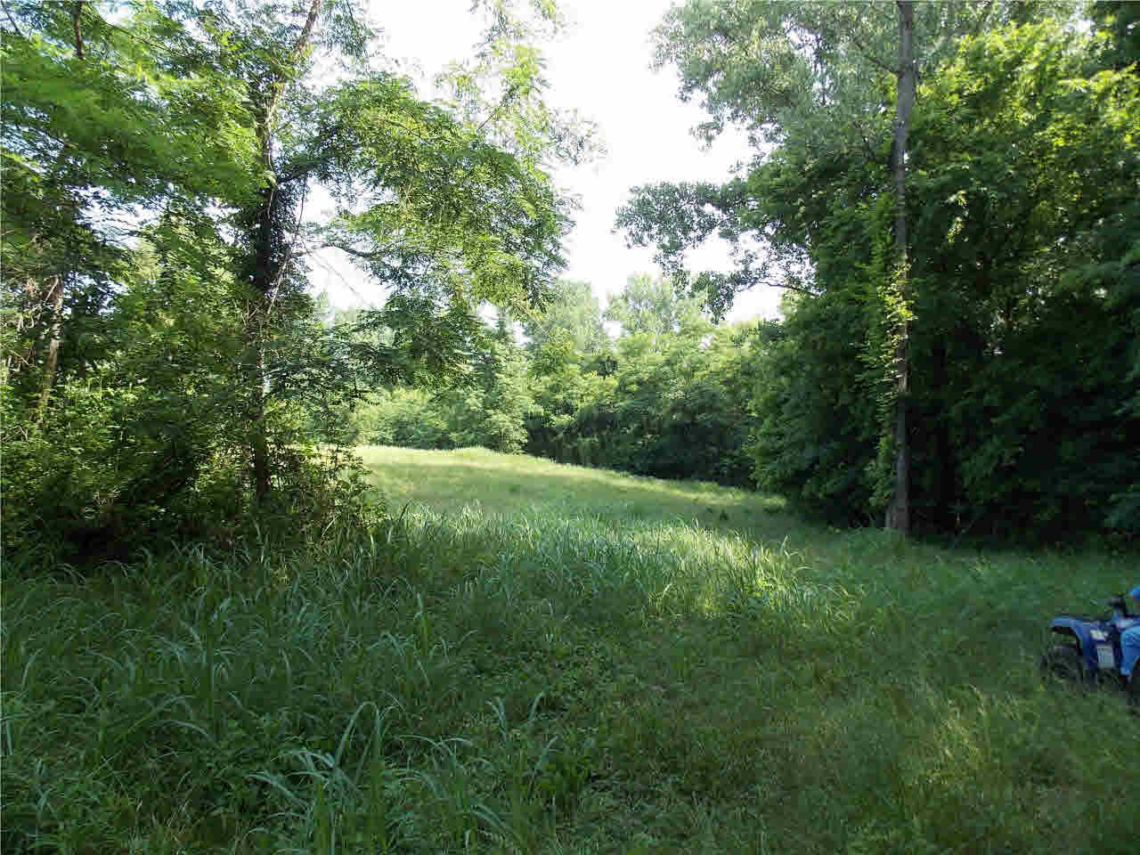 4850 Smith Station Road Edwards, MS 39066 - Photo 37 of 49 Photo 37