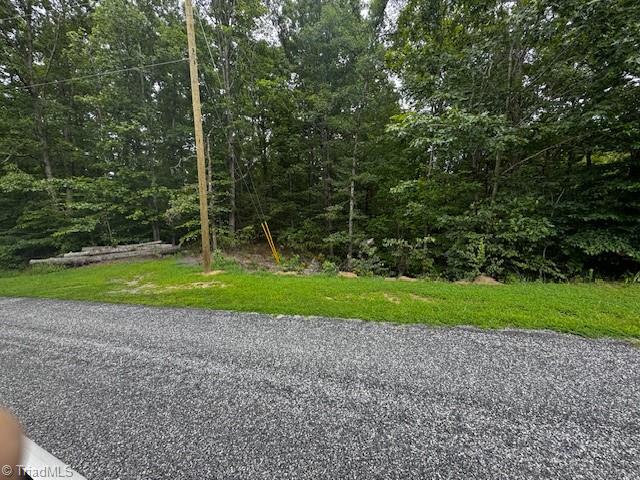 0 John Harger Road Walnut Cove, NC 27052 - Photo 4 of 6