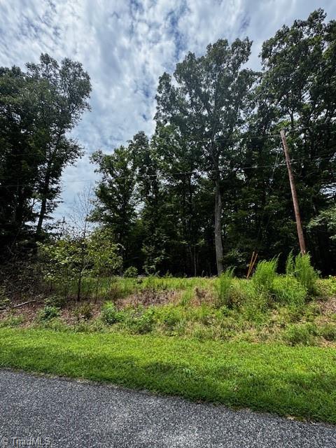 0 John Harger Road Walnut Cove, NC 27052 - Photo 6 of 6