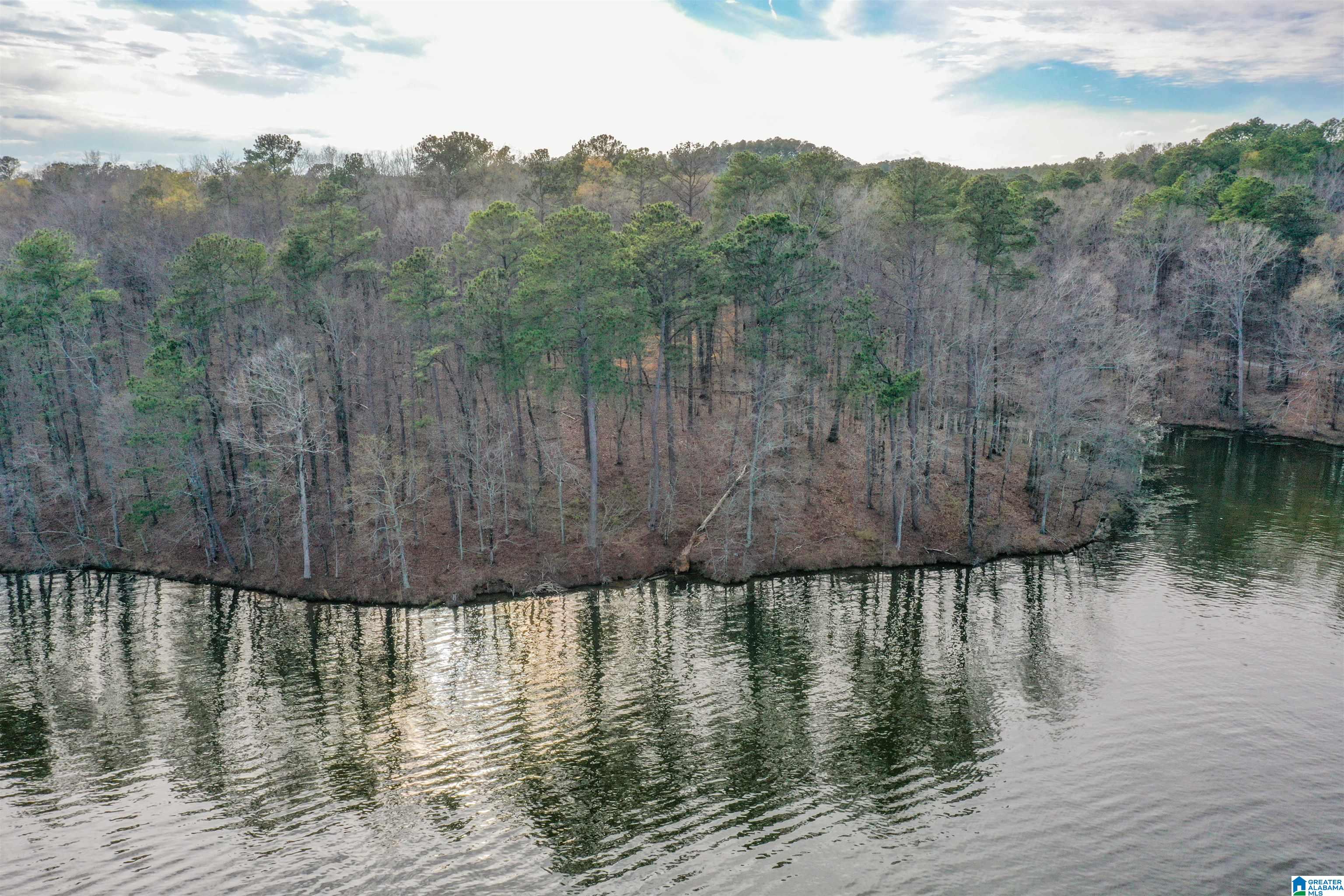 South River Road, Unit LONG Shelby, AL 35143 - Photo 3 of 21