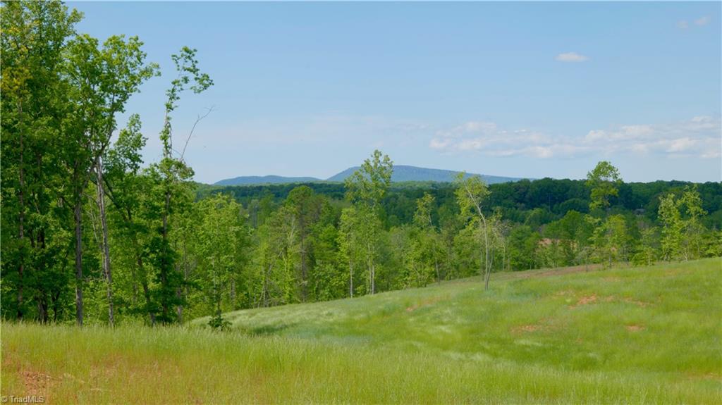 2833 Griffin Road Rural Hall, NC 27045 - Photo 1 of 33