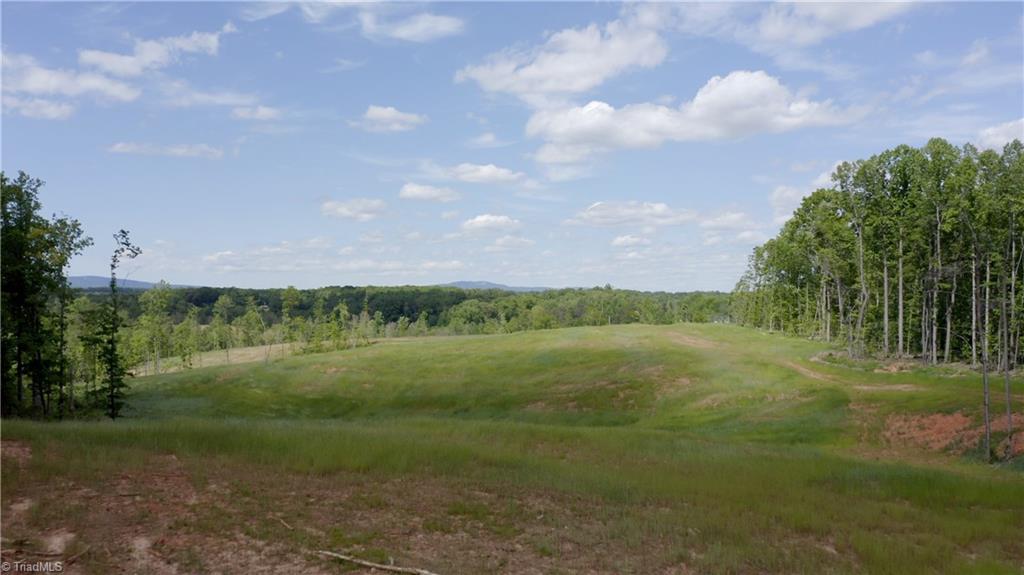 2833 Griffin Road Rural Hall, NC 27045 - Photo 2 of 33