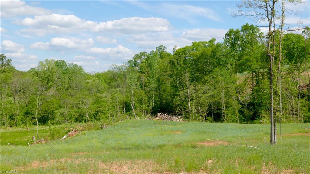 2833 Griffin Road Rural Hall, NC 27045 - Photo 14 of 33