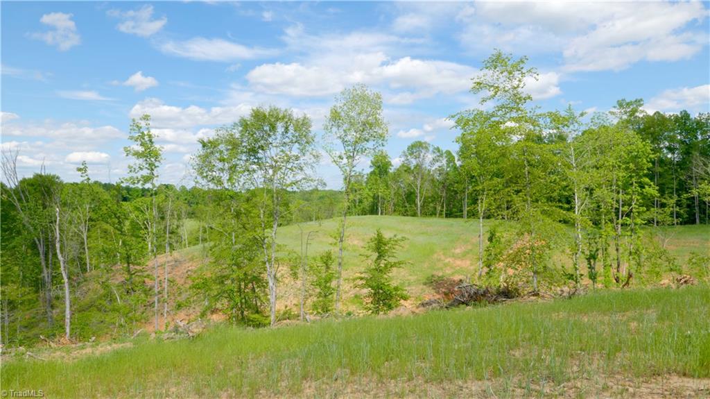 2833 Griffin Road Rural Hall, NC 27045 - Photo 16 of 33
