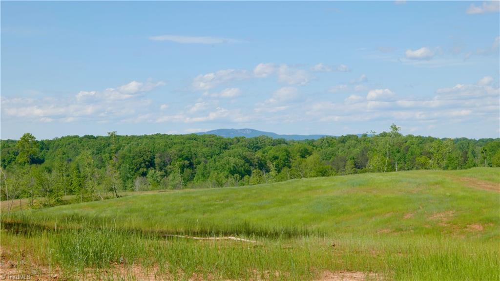 2833 Griffin Road Rural Hall, NC 27045 - Photo 20 of 33