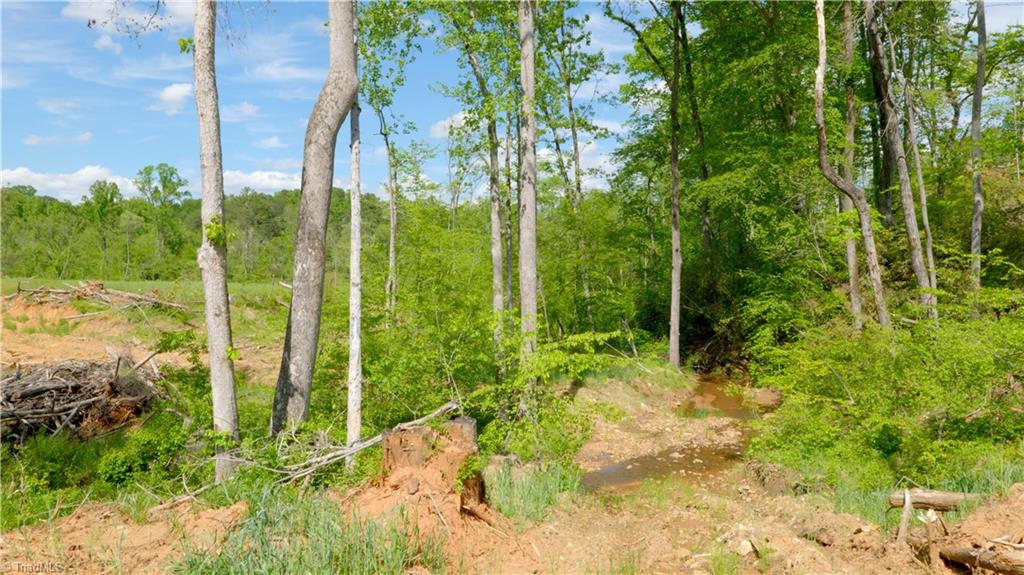 2833 Griffin Road Rural Hall, NC 27045 - Photo 23 of 33