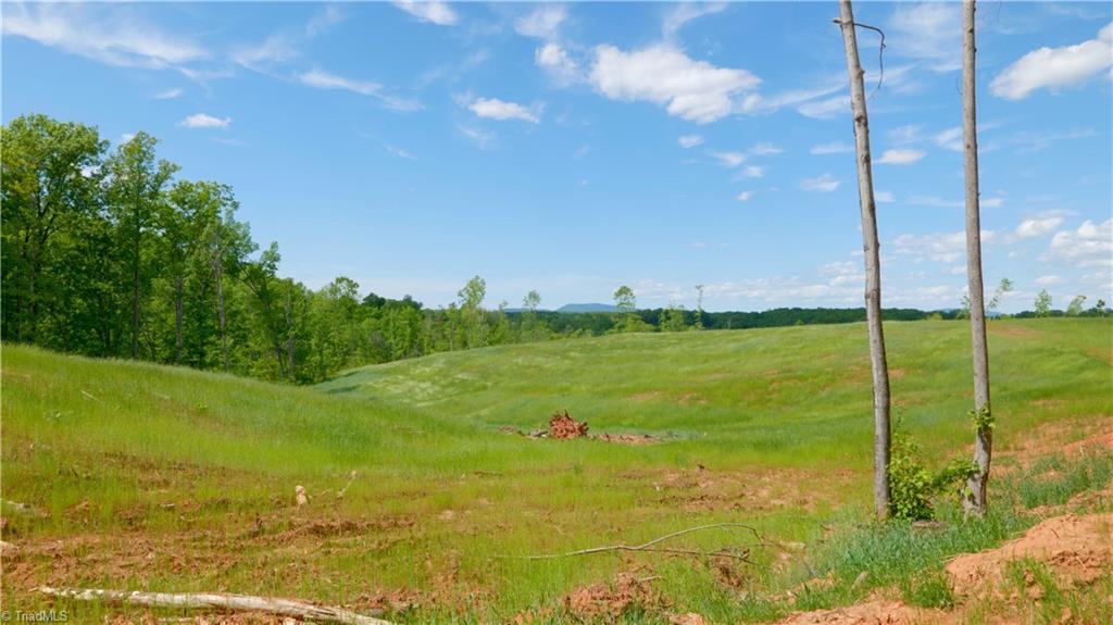 2833 Griffin Road Rural Hall, NC 27045 - Photo 5 of 33