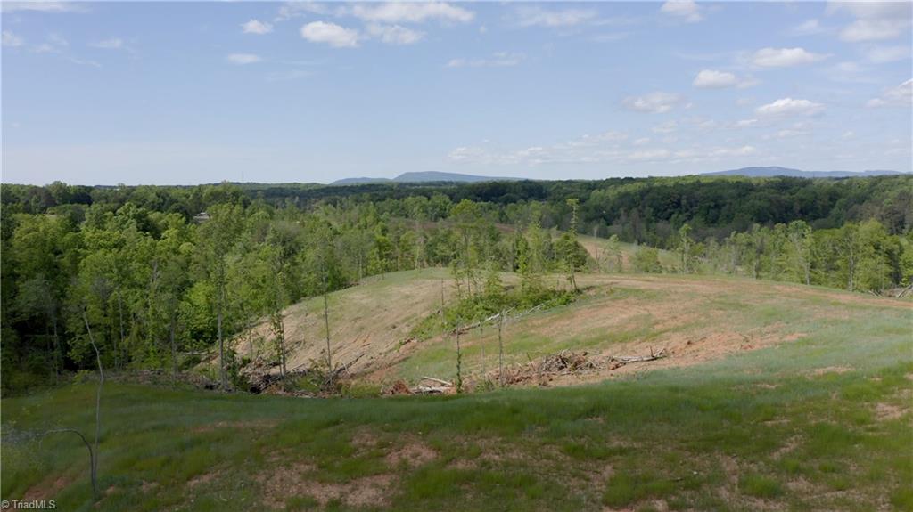 2833 Griffin Road Rural Hall, NC 27045 - Photo 9 of 33