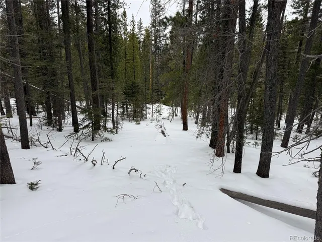 a view of snow on the road