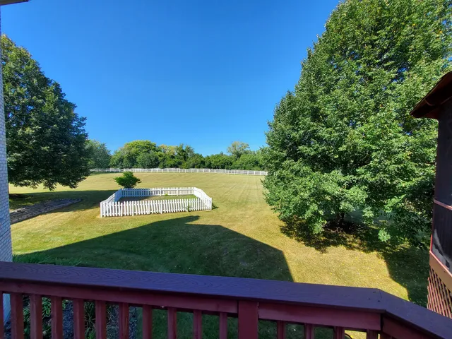 a view of a grassy field with trees