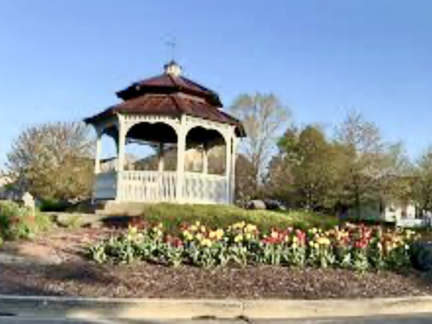 1716 Simms Street Aurora, IL 60504 - Photo 25 of 29