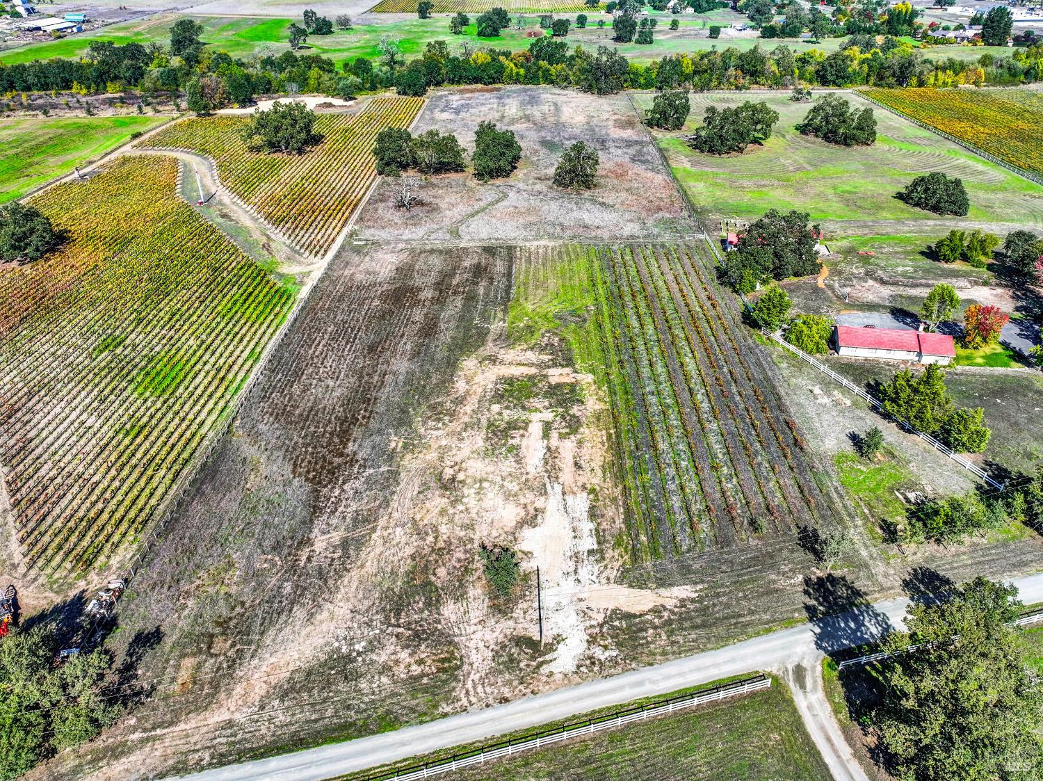 5695 Bravo Toro Lane Santa Rosa, CA 95401 - Photo 13 of 24 a view of a yard with plants