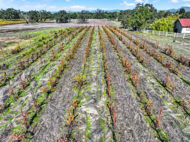 a view of an outdoor space and a yard