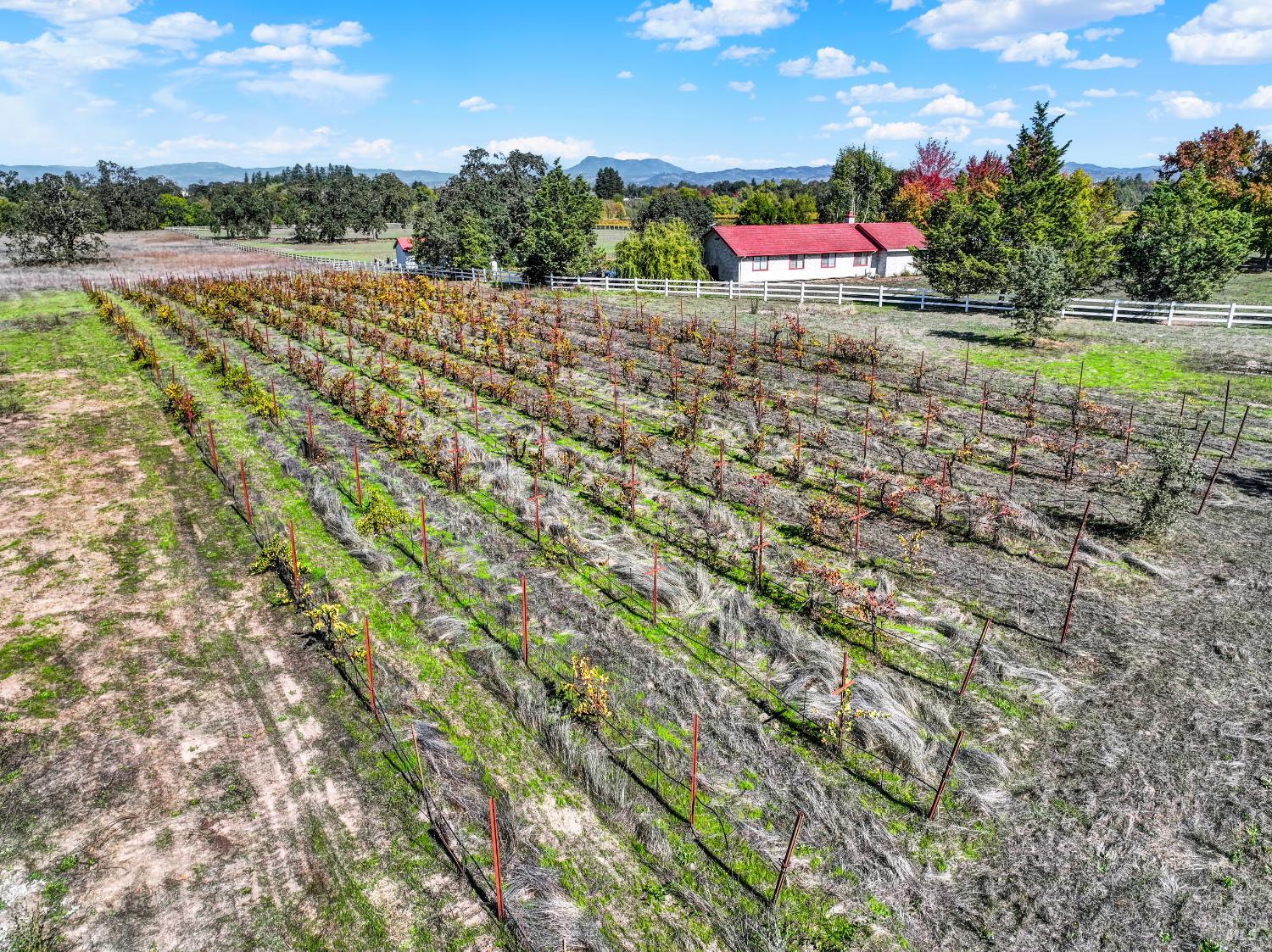 5695 Bravo Toro Lane Santa Rosa, CA 95401 - Photo 16 of 24 a view of an outdoor space and a yard