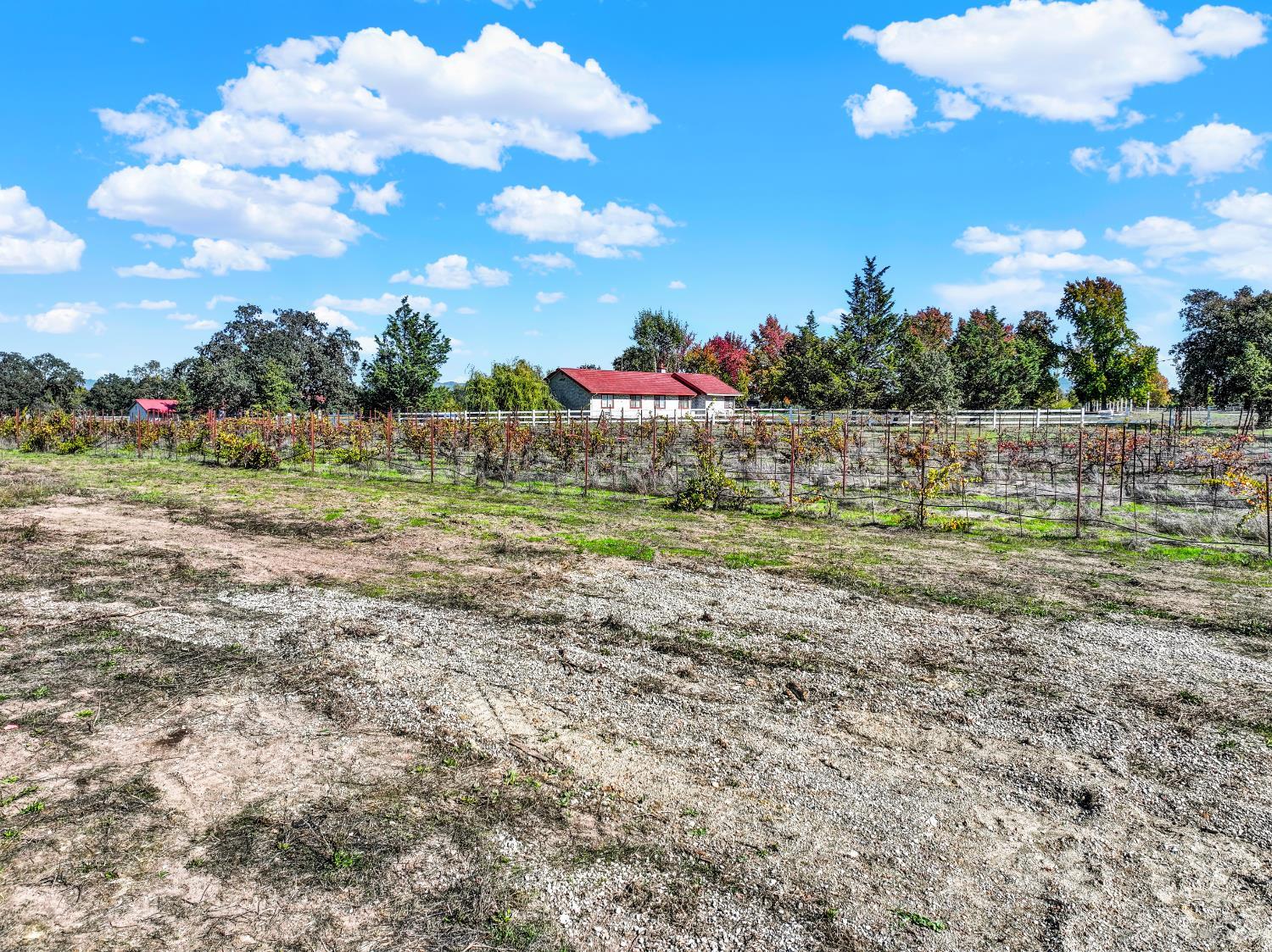 5695 Bravo Toro Lane Santa Rosa, CA 95401 - Photo 18 of 24 a view of outdoor space with city view