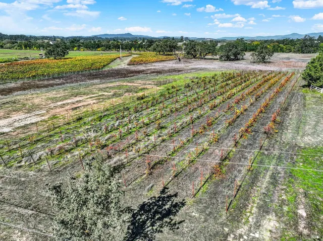 a view of an ocean beach