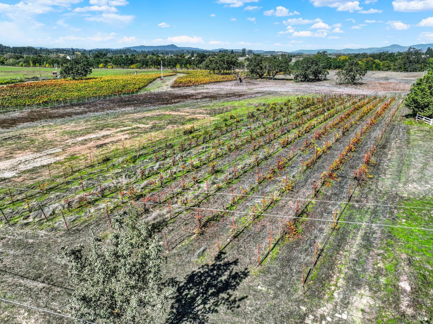 5695 Bravo Toro Lane Santa Rosa, CA 95401 - Photo 2 of 24 a view of an ocean beach