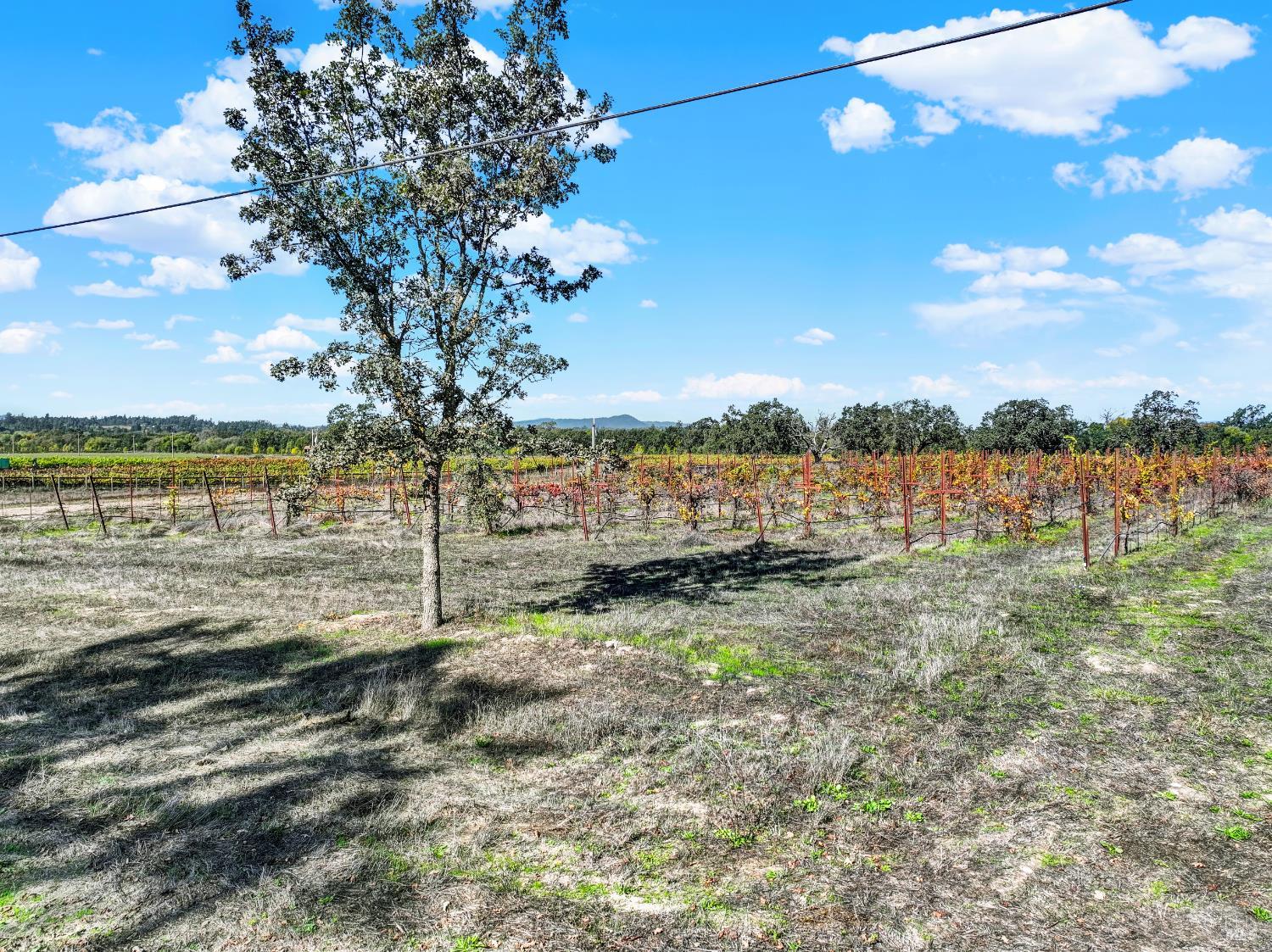 5695 Bravo Toro Lane Santa Rosa, CA 95401 - Photo 24 of 24 a view of a lake with houses