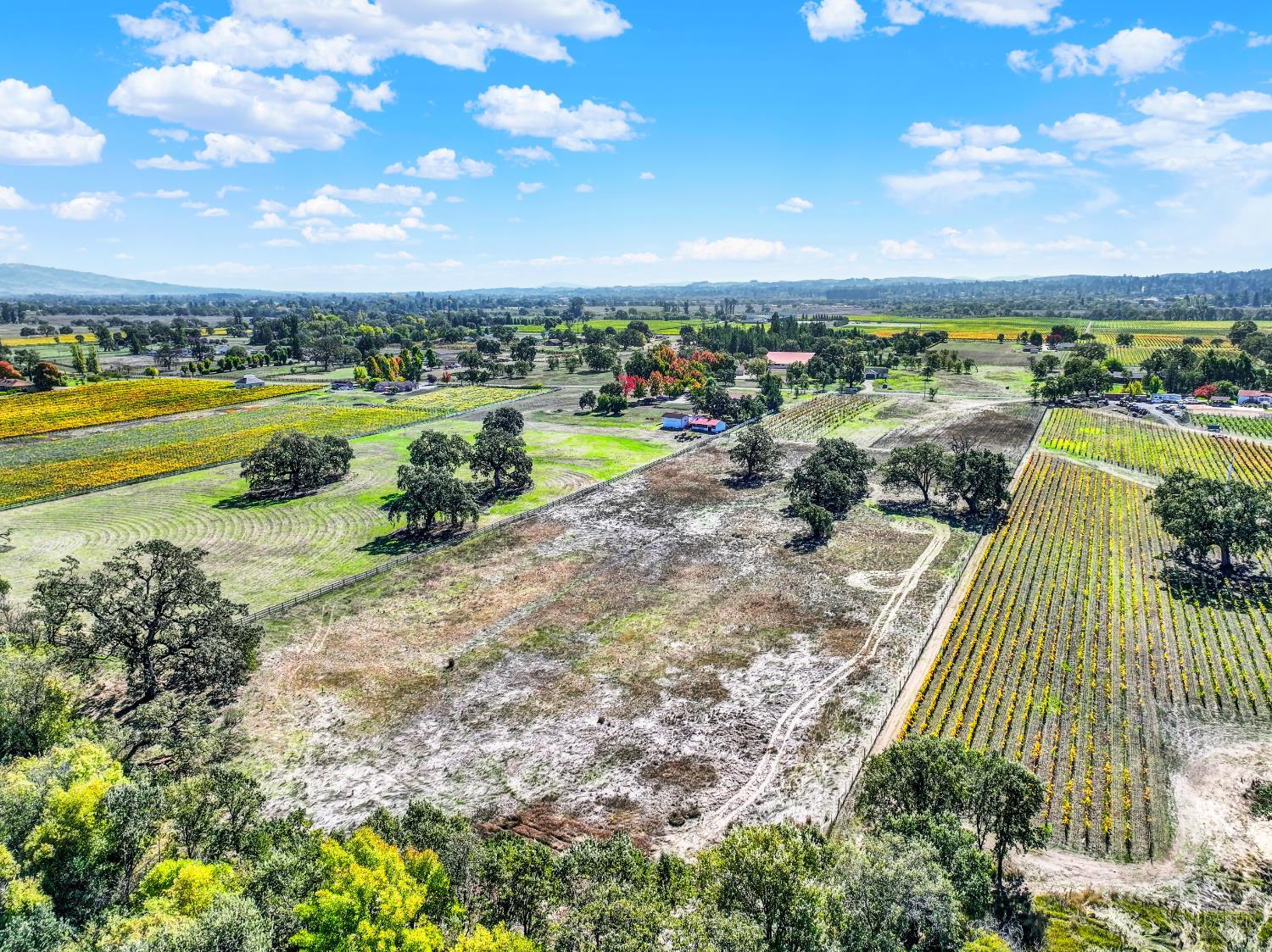 5695 Bravo Toro Lane Santa Rosa, CA 95401 - Photo 5 of 24 a view of a lake with a garden