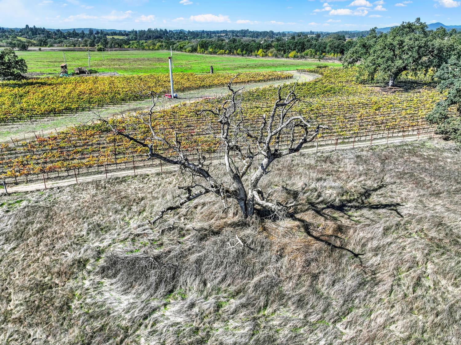5695 Bravo Toro Lane Santa Rosa, CA 95401 - Photo 7 of 24 a view of a lake with a mountain view