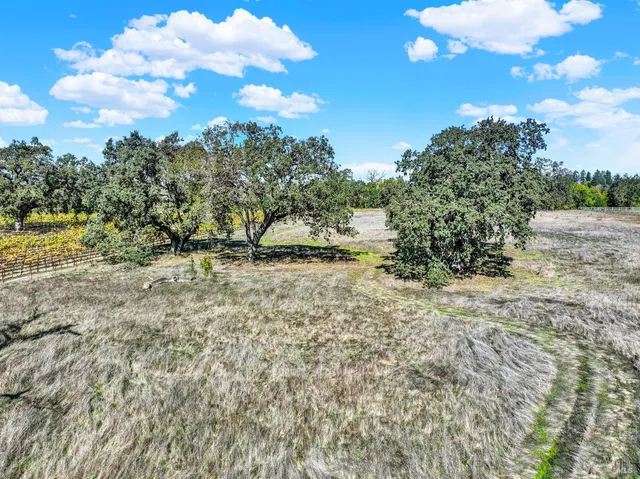 a view of outdoor space and yard