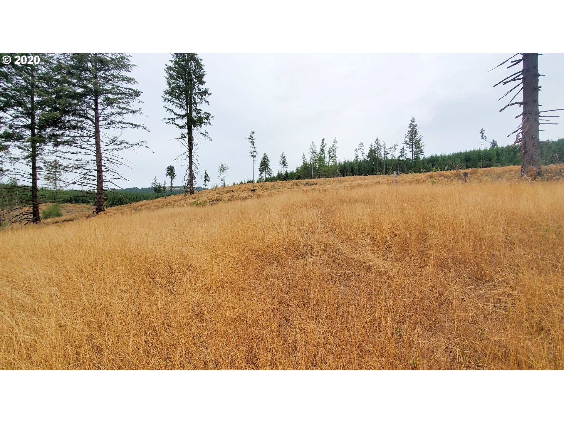 Hileman Road, Unit 300 Marcola, OR 97454 - Photo 11 of 24 Gallery Image 11