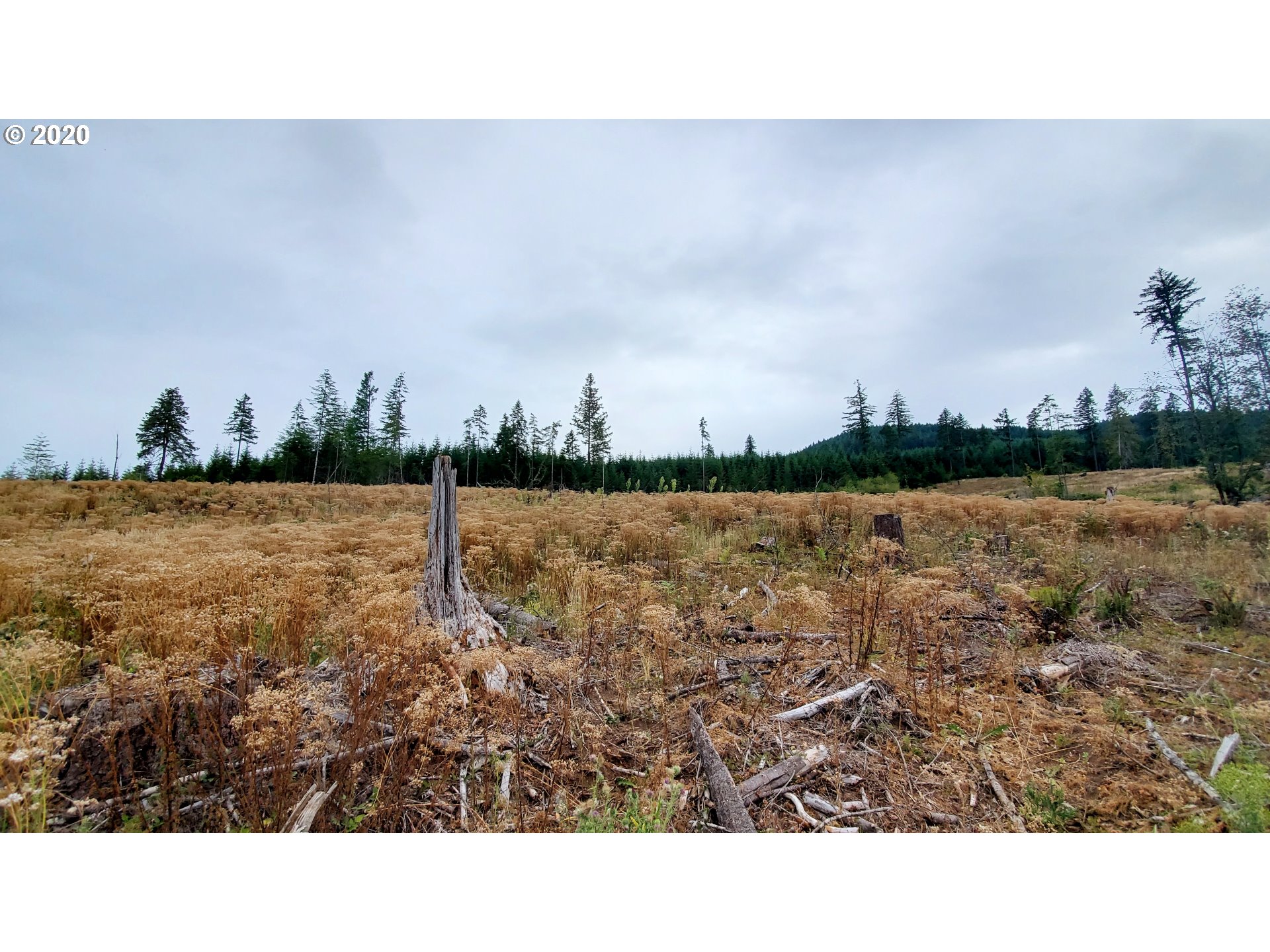 Hileman Road, Unit 300 Marcola, OR 97454 - Photo 12 of 24 Gallery Image 12