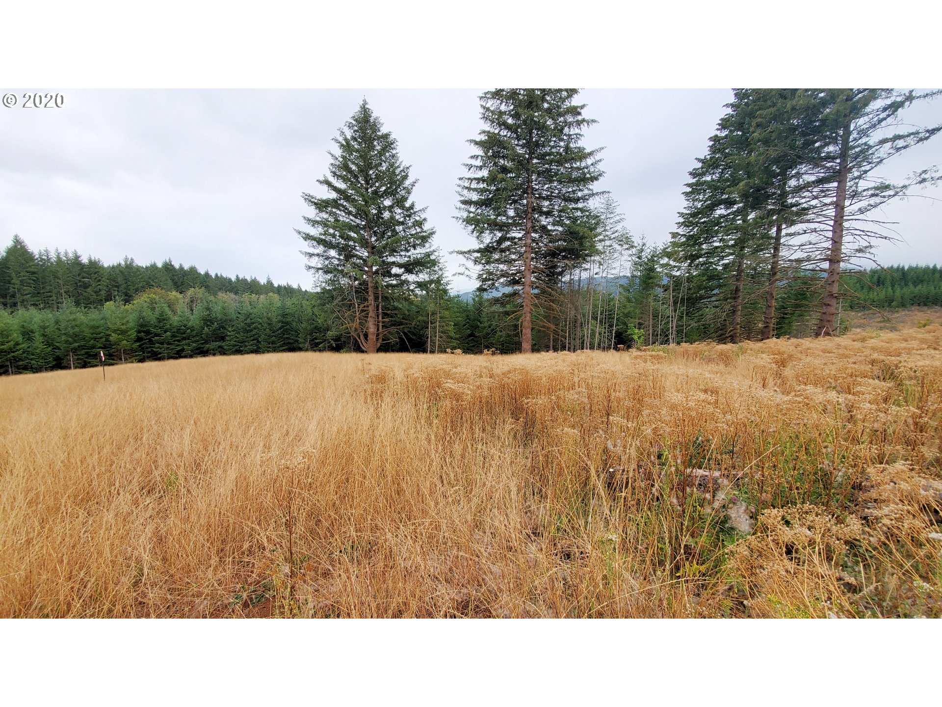 Hileman Road, Unit 300 Marcola, OR 97454 - Photo 13 of 24 Gallery Image 13