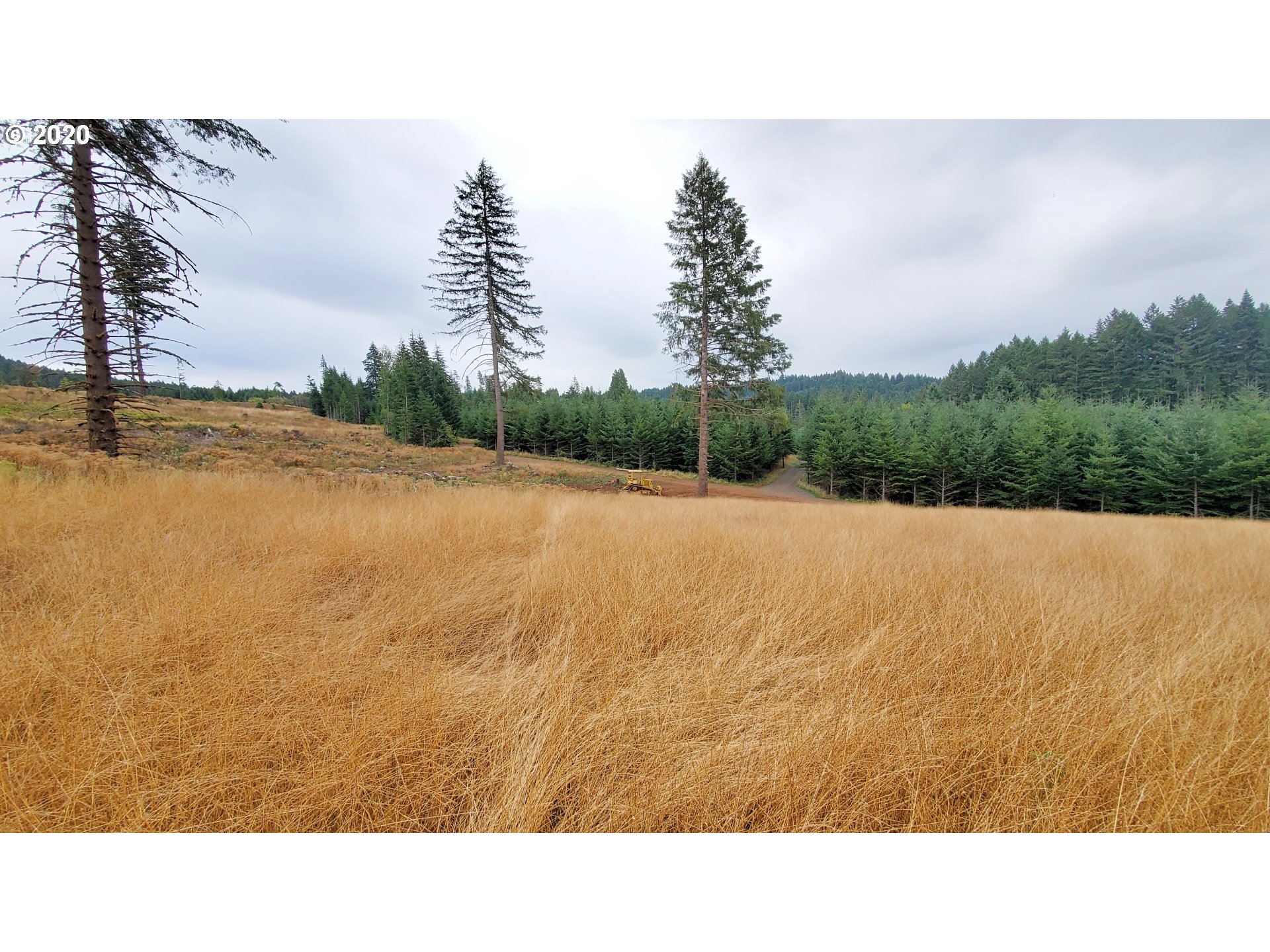 Hileman Road, Unit 300 Marcola, OR 97454 - Photo 14 of 24 Gallery Image 14