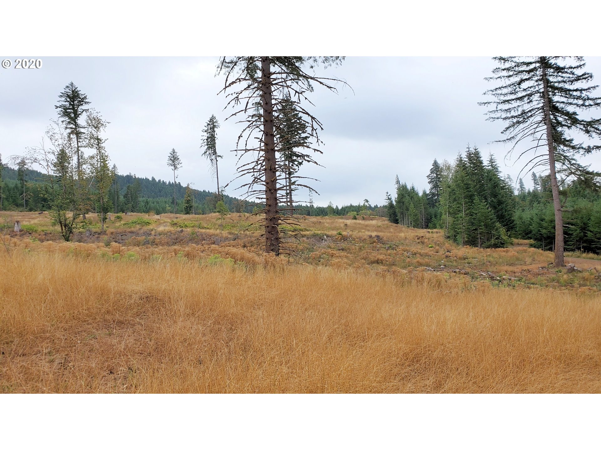 Hileman Road, Unit 300 Marcola, OR 97454 - Photo 15 of 24 Gallery Image 15