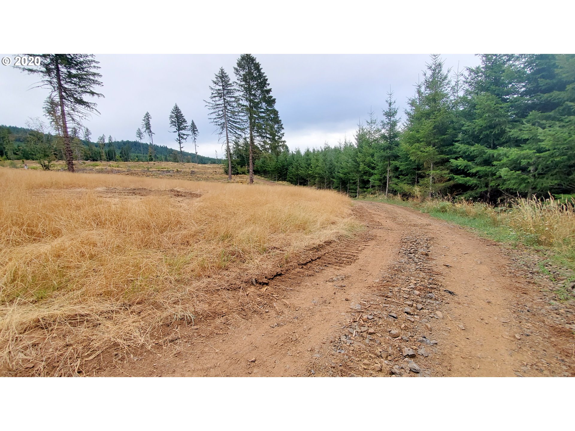 Hileman Road, Unit 300 Marcola, OR 97454 - Photo 16 of 24 Gallery Image 16