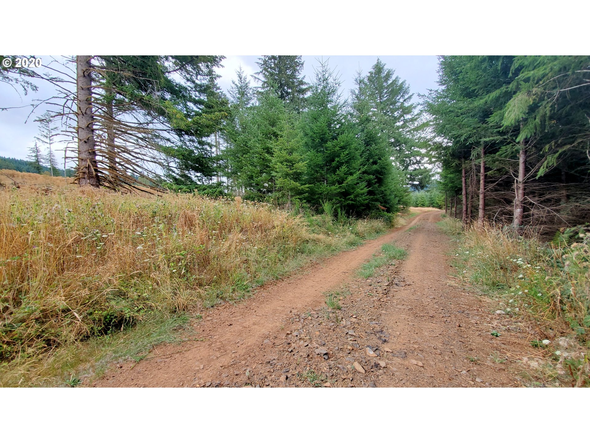 Hileman Road, Unit 300 Marcola, OR 97454 - Photo 17 of 24 Gallery Image 17