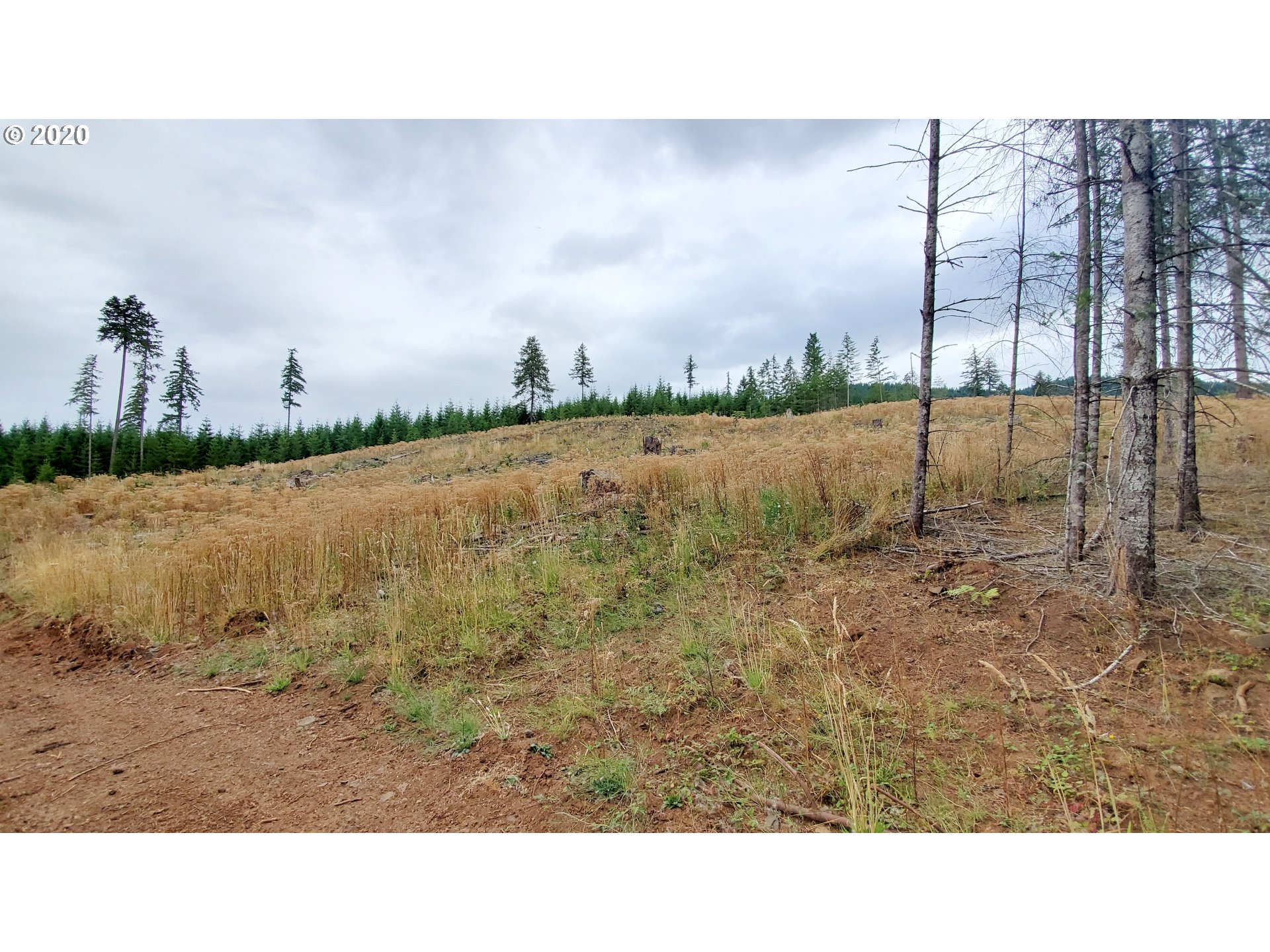 Hileman Road, Unit 300 Marcola, OR 97454 - Photo 18 of 24 Gallery Image 18