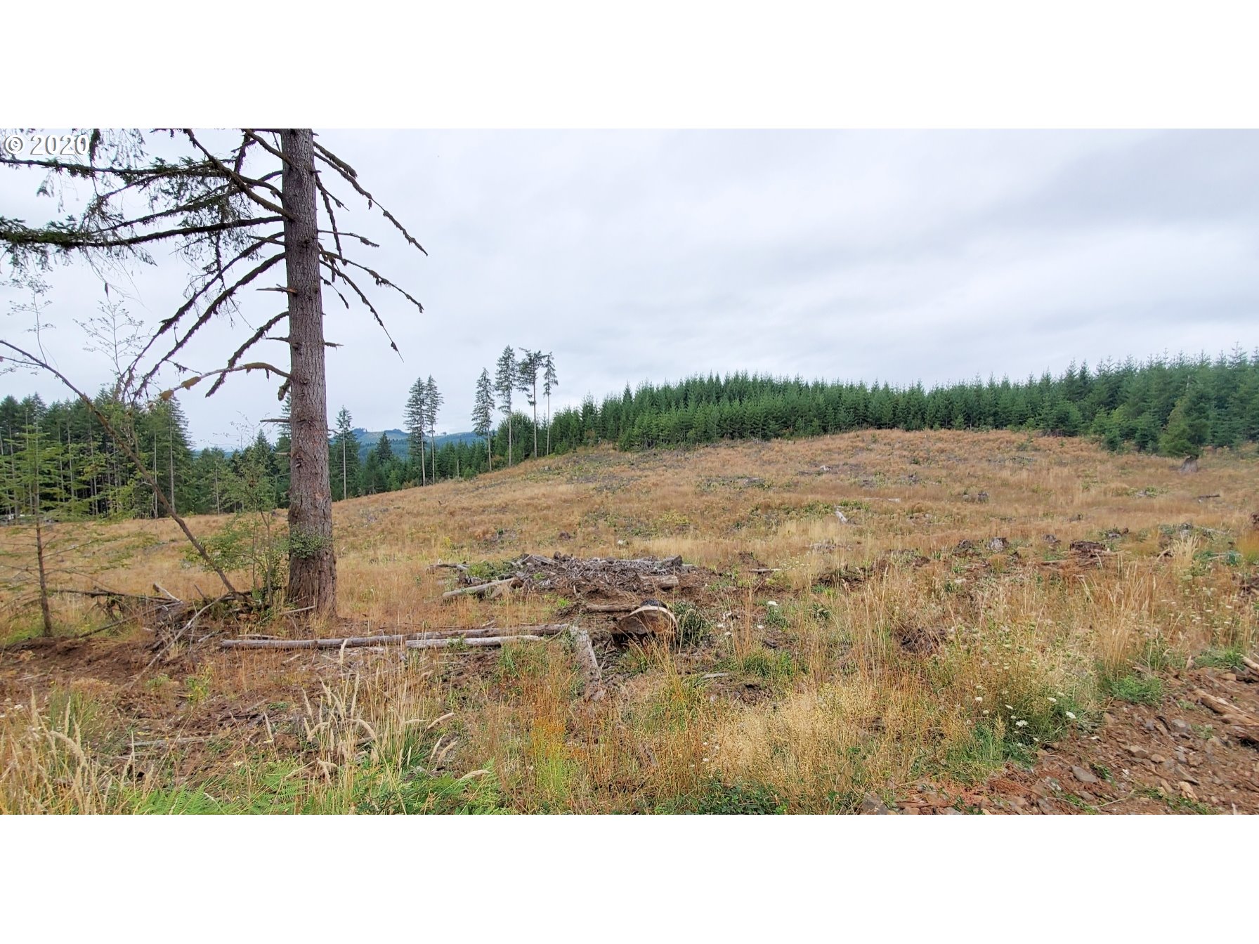 Hileman Road, Unit 300 Marcola, OR 97454 - Photo 19 of 24 Gallery Image 19