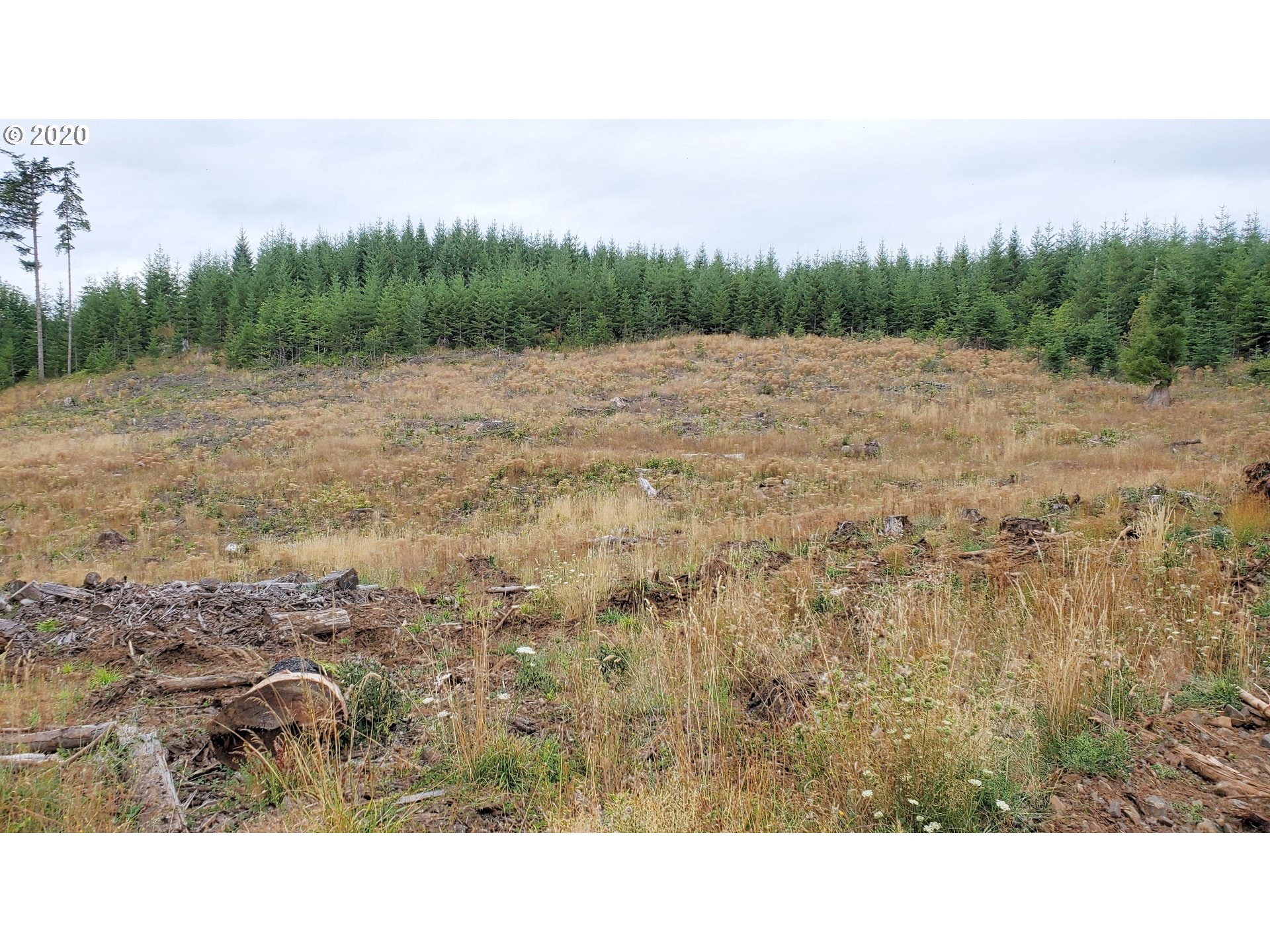 Hileman Road, Unit 300 Marcola, OR 97454 - Photo 20 of 24 Gallery Image 20