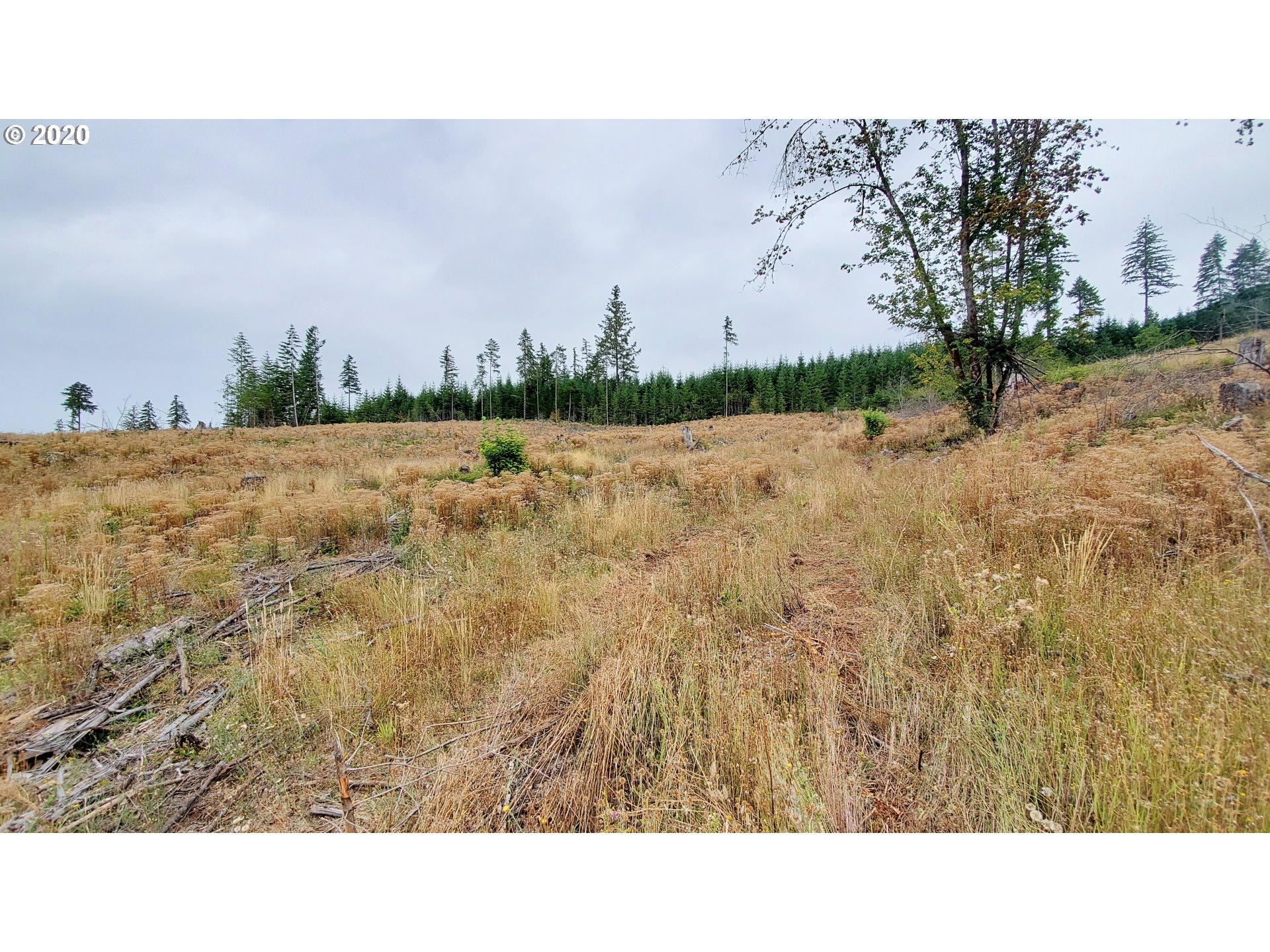 Hileman Road, Unit 300 Marcola, OR 97454 - Photo 21 of 24 Gallery Image 21