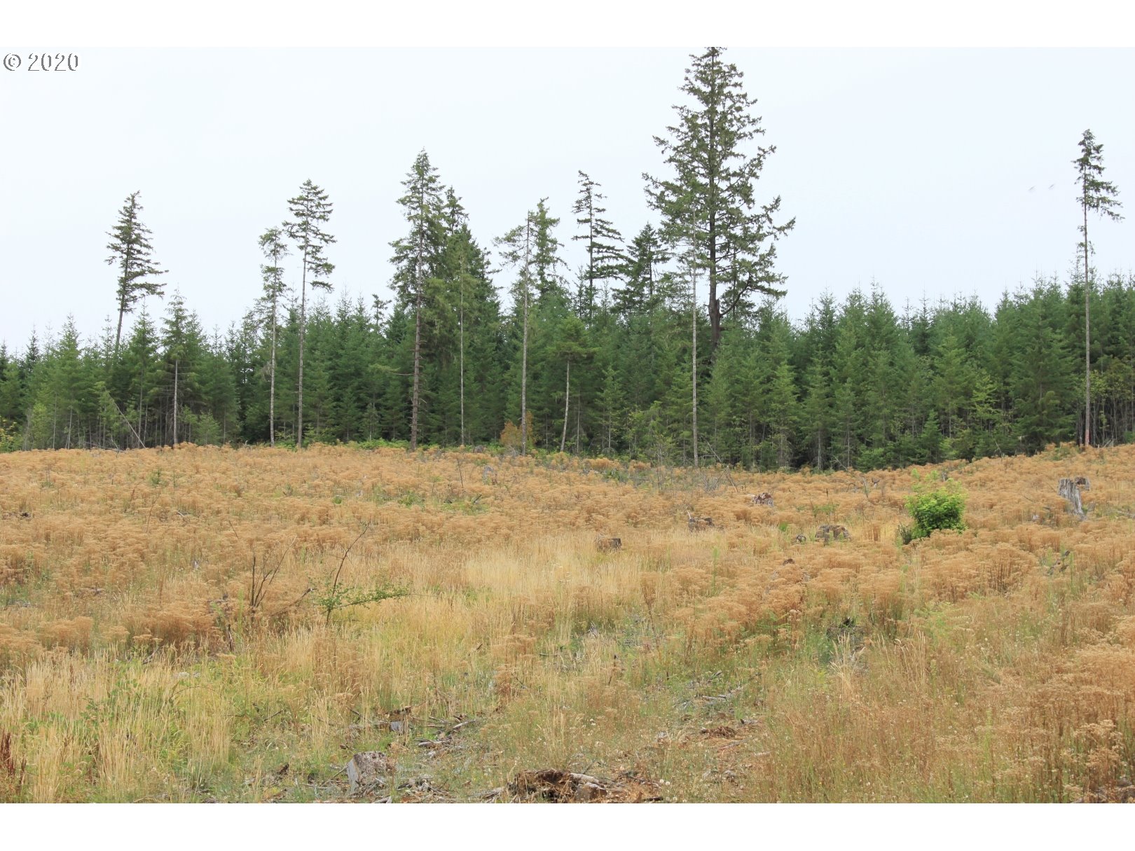 Hileman Road, Unit 300 Marcola, OR 97454 - Photo 22 of 24 Gallery Image 22