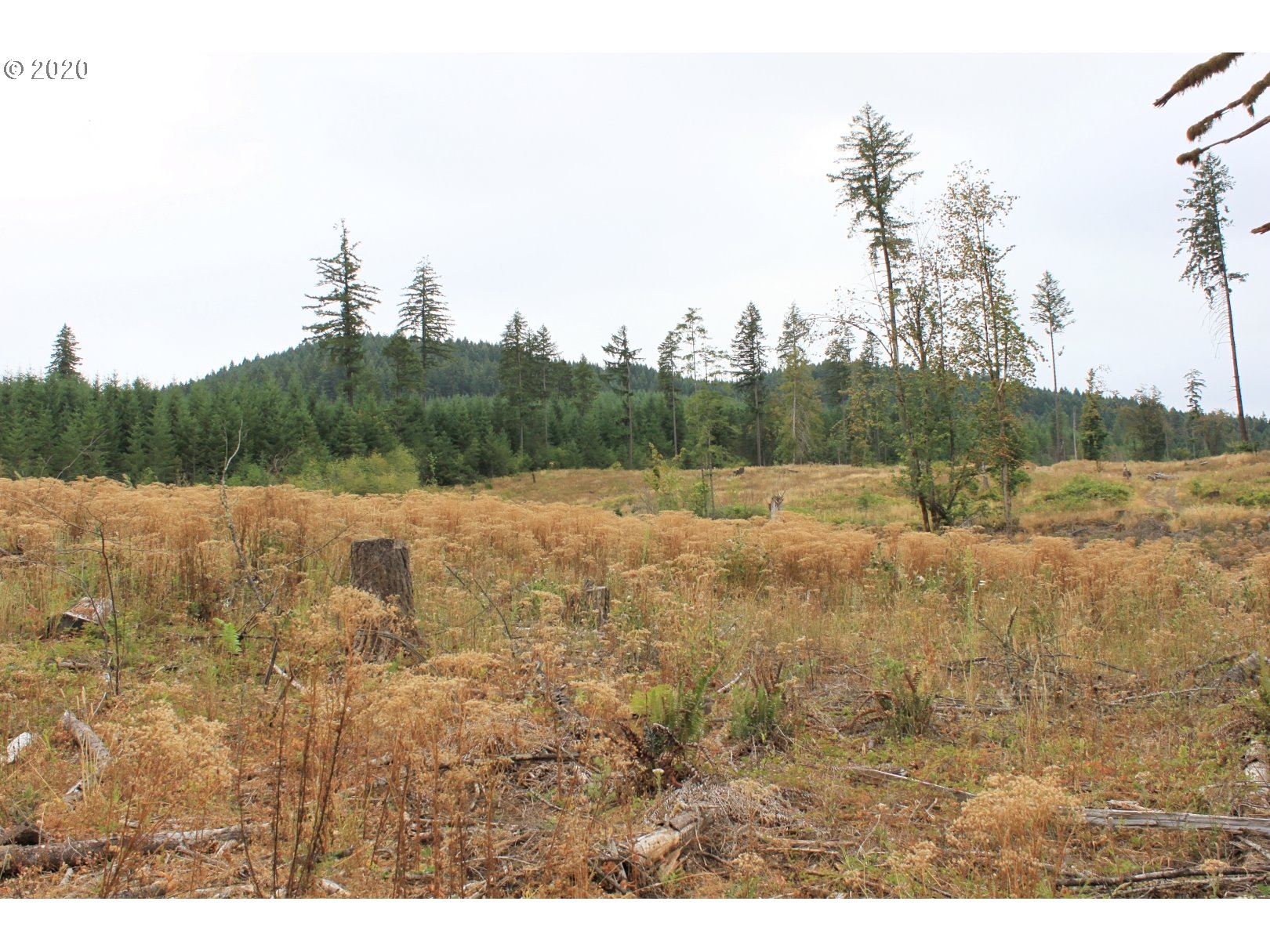 Hileman Road, Unit 300 Marcola, OR 97454 - Photo 24 of 24 Gallery Image 24