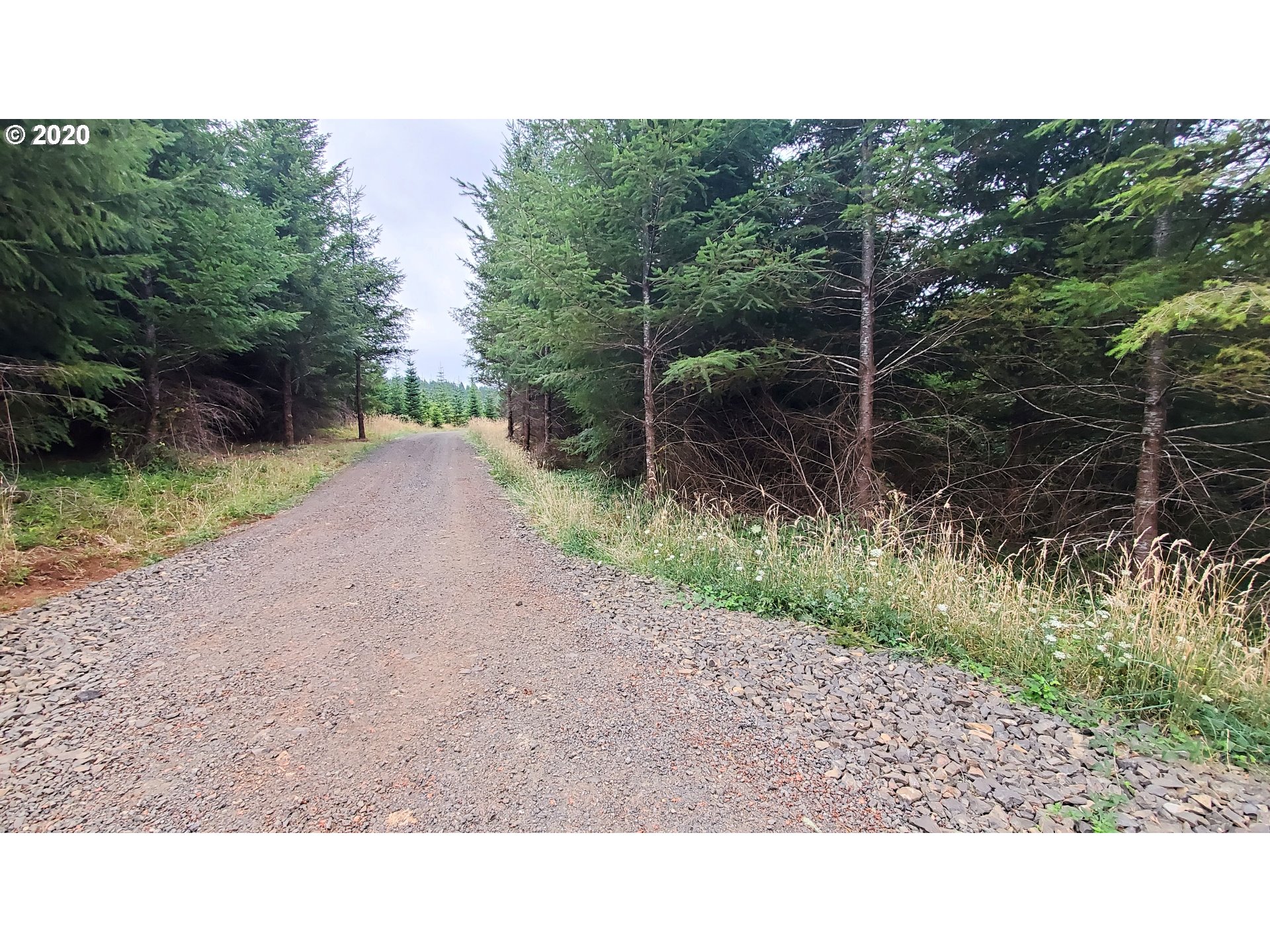 Hileman Road, Unit 300 Marcola, OR 97454 - Photo 8 of 24 Gallery Image 8