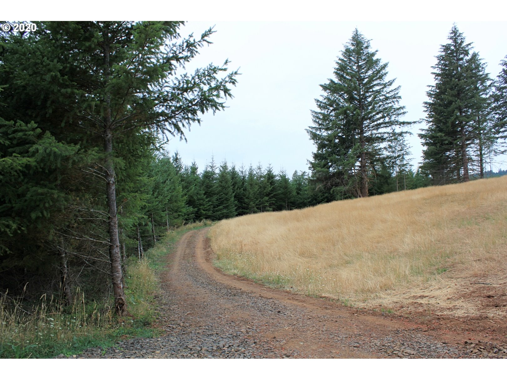 Hileman Road, Unit 300 Marcola, OR 97454 - Photo 9 of 24 Gallery Image 9