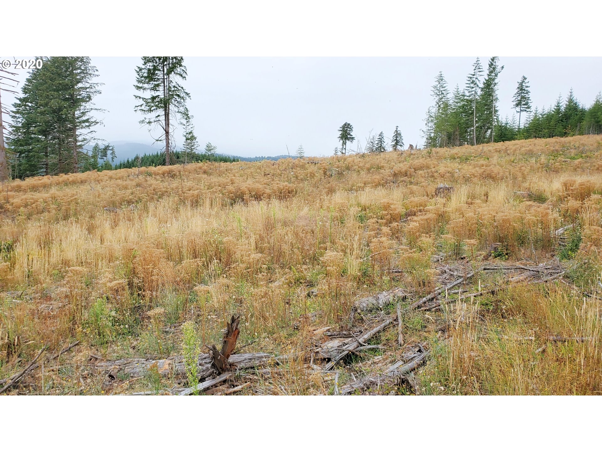 Hileman Road, Unit 300 Marcola, OR 97454 - Photo 10 of 24 Gallery Image 10