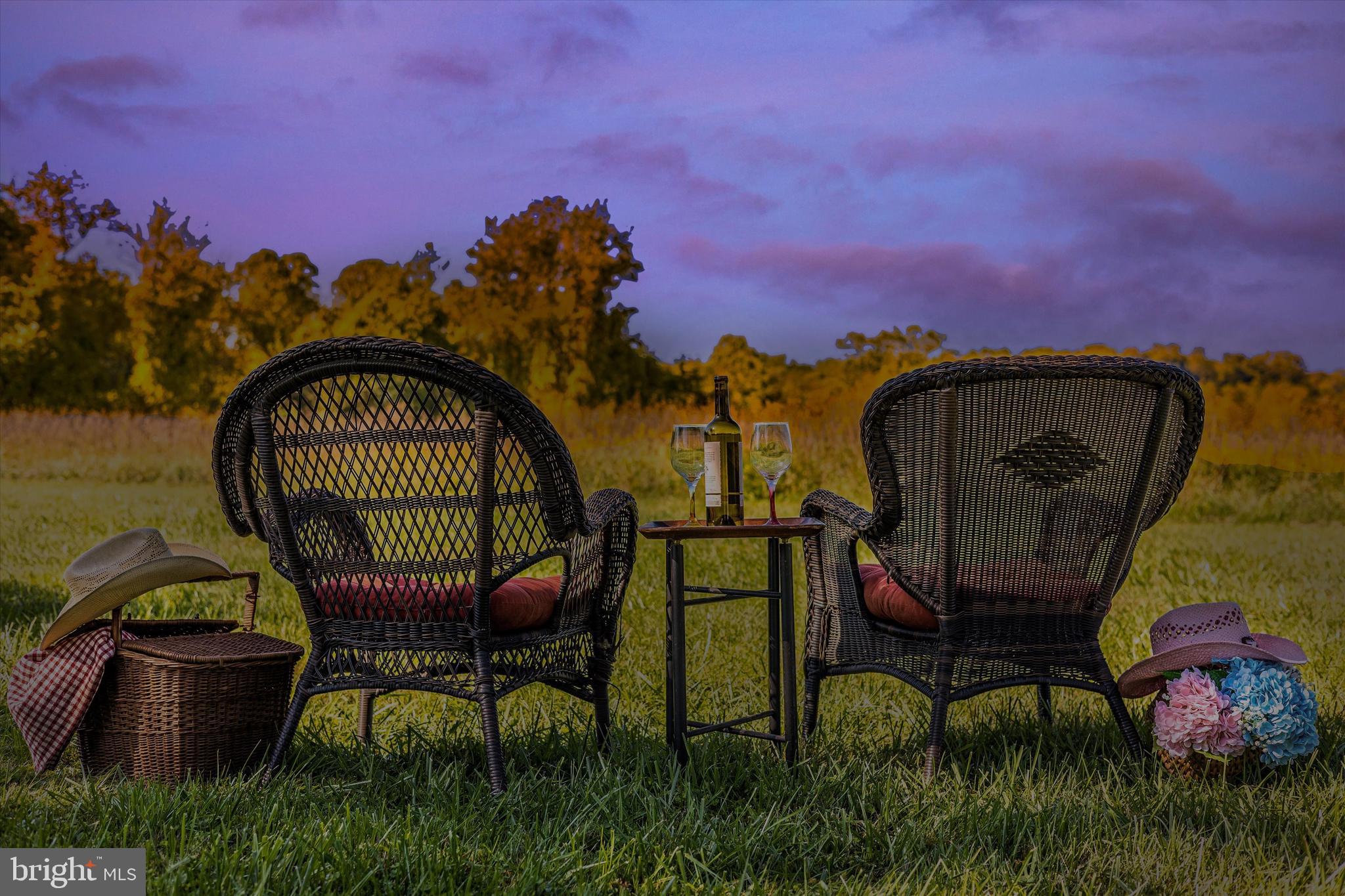 1021 Saffell Road Reisterstown, MD 21136 - Photo 26 of 57 a view of a chairs in a backyard