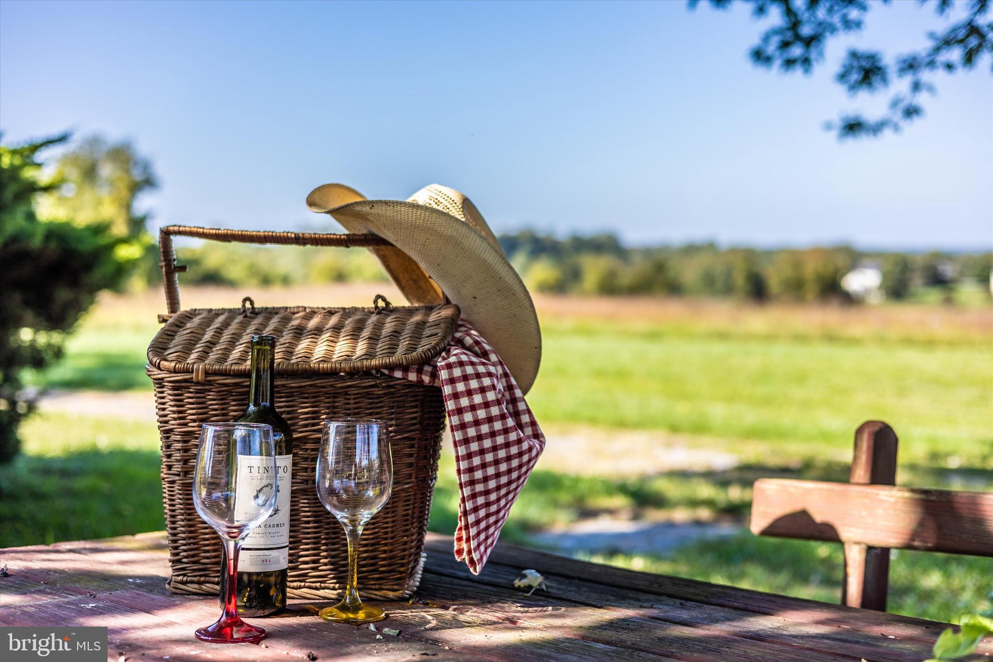 1021 Saffell Road Reisterstown, MD 21136 - Photo 3 of 57 a view of swimming pool with seating area and yard in back