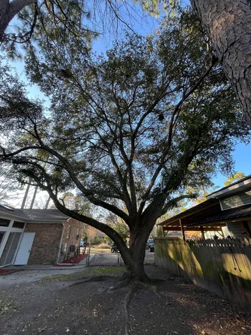 $320,000 | 115 Donna Drive, Summerville, SC 29483