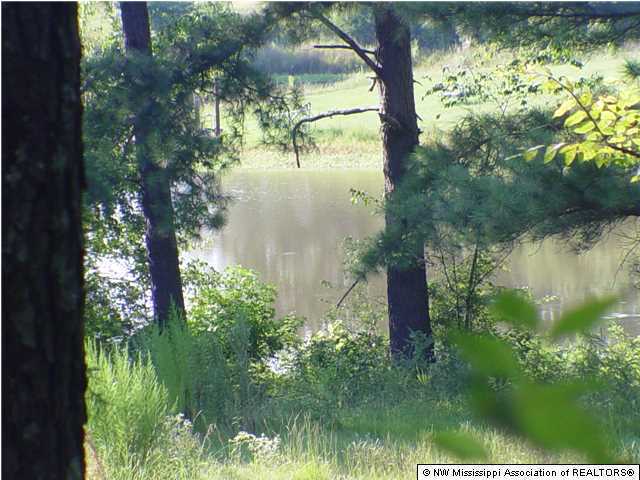 1605 Pigeon Roost Road Byhalia, MS 38611 - Photo 4 of 18 Additional Photo