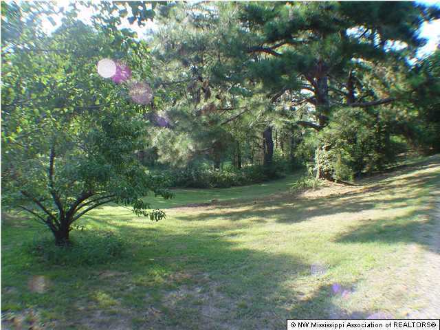 1605 Pigeon Roost Road Byhalia, MS 38611 - Photo 5 of 18 Additional Photo
