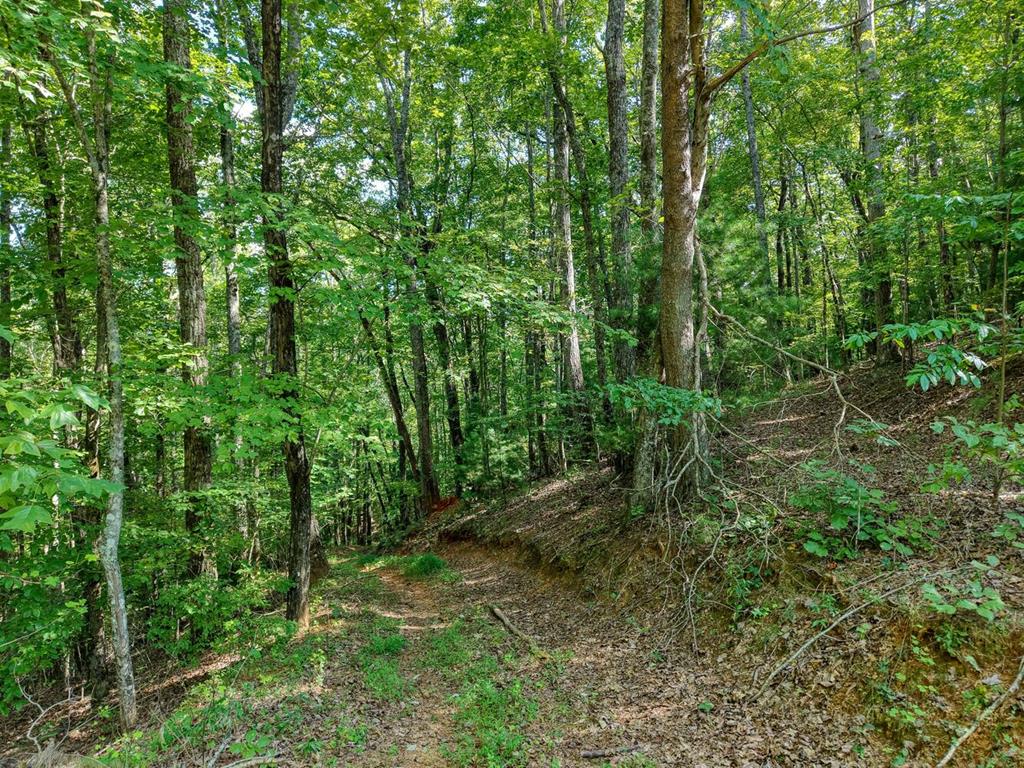 2 Blue Ridge Blue Ridge, GA 30513 - Photo 17 of 31 Gallery Image 17