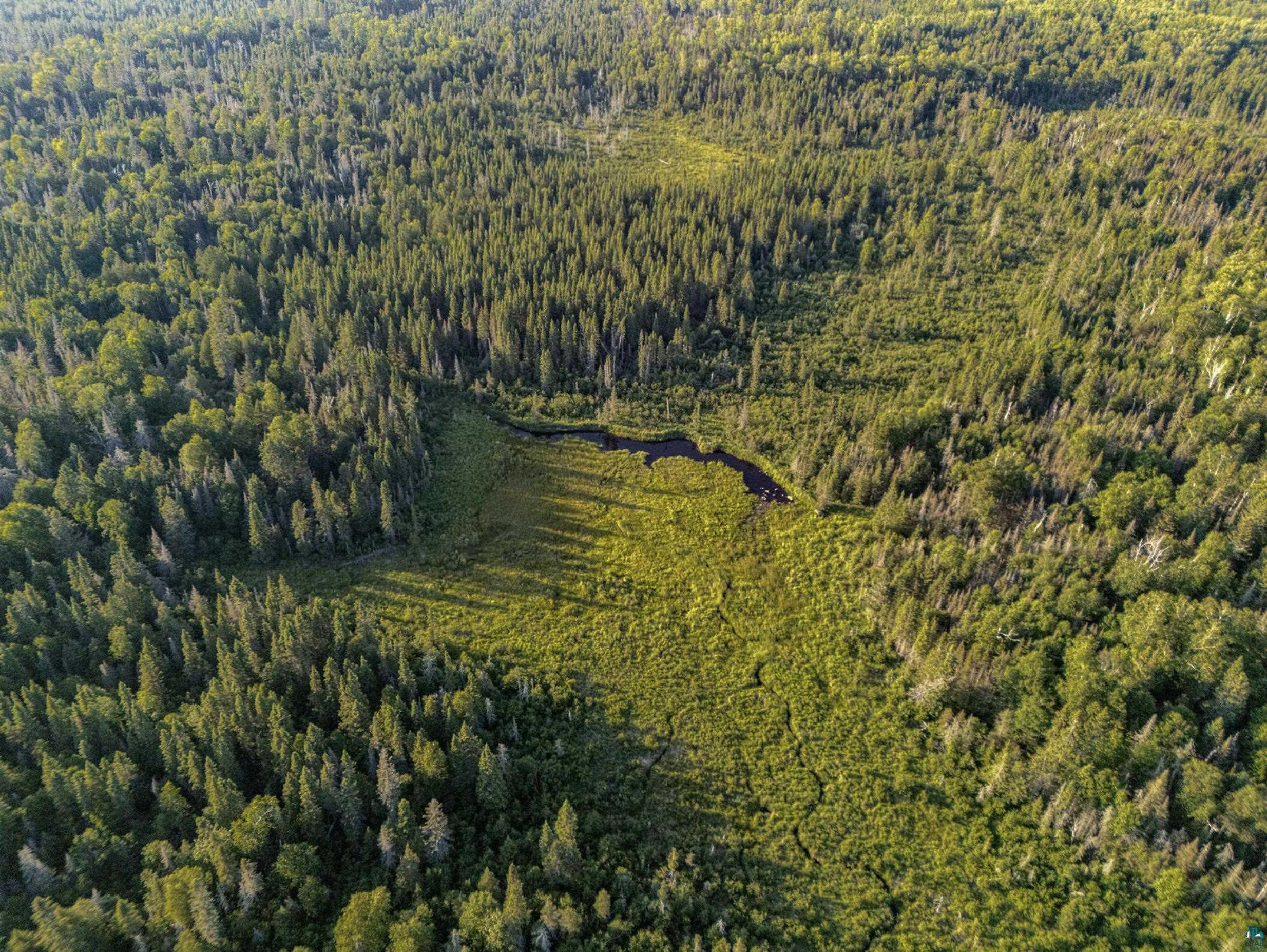 Tbd Hoist Lake Road Finland, MN 55603 - Photo 5 of 22