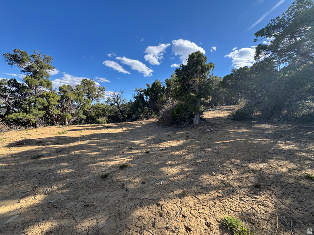 38 Broken Branch Road, Unit 38 Kanab, UT 84741 - Photo 23 of 53 Expansive natural landscape featuring dry, earthy terrain and scattered evergreen trees