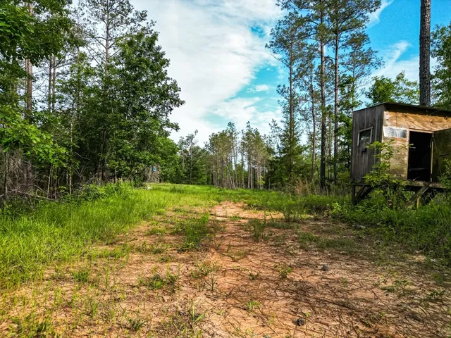 $1,670,000 | 1 Cemetary Road, Harrisonburg, LA 71340